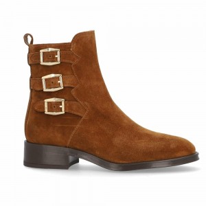 Botines ALPE Couture Mujer | 405NLEGPH
