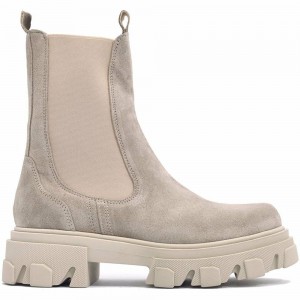Botines ALPE Liverpool Mujer | 982DMYTAV